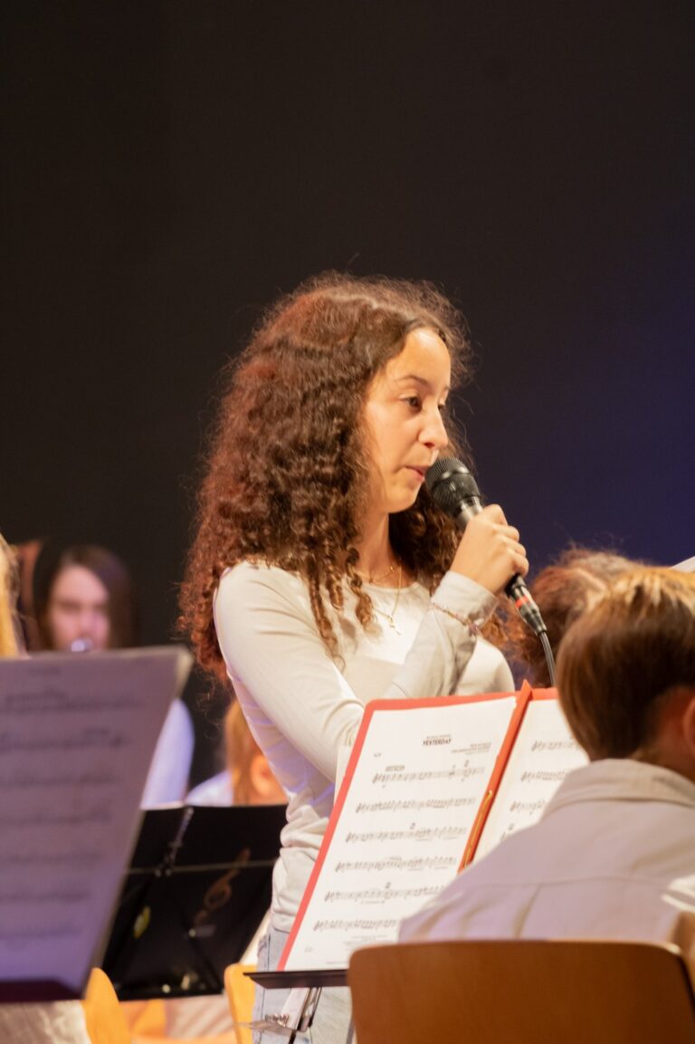 Deutsch-Französisches Benefizkonzert in Schaidt – Foto 5