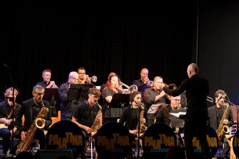 Deutsch-Französisches Benefizkonzert in Schaidt – Foto 14
