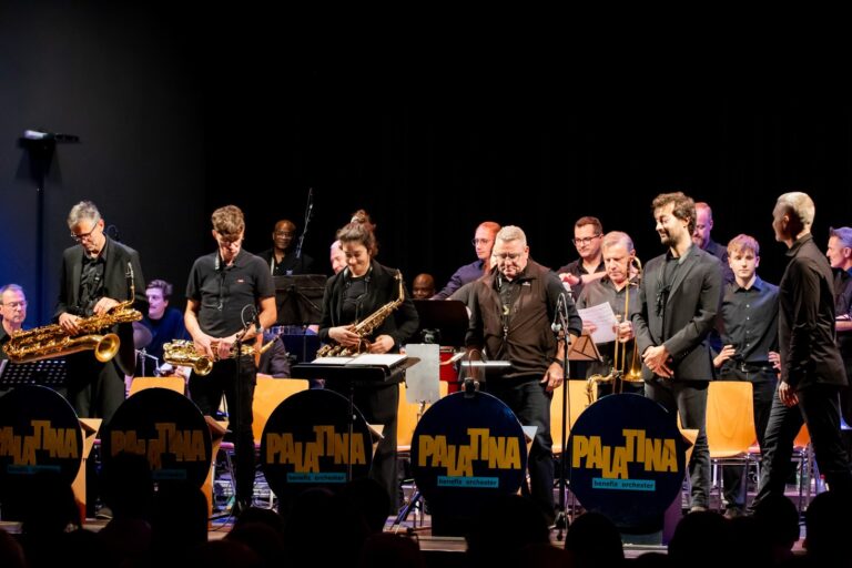 Deutsch-Französisches Benefizkonzert in Schaidt – Foto 19
